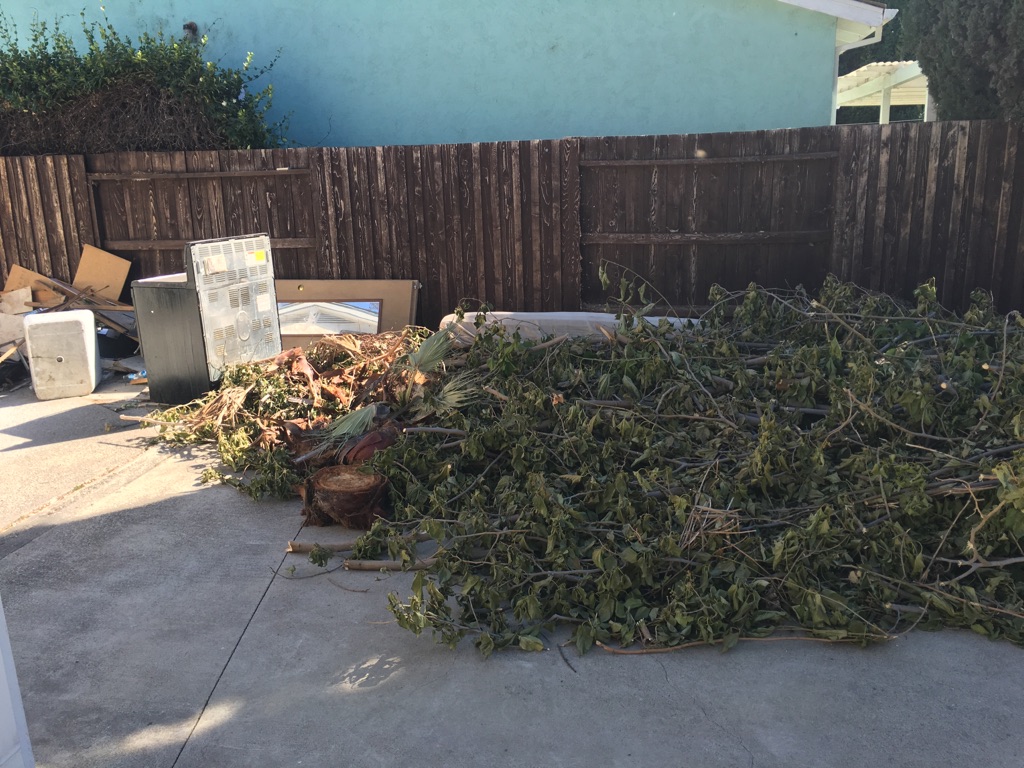 Green waste and yard debris removal job